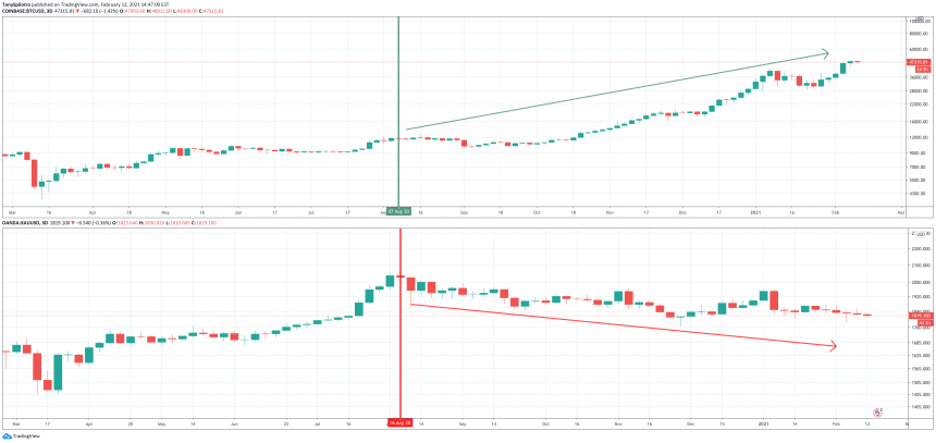 比特币btc xau